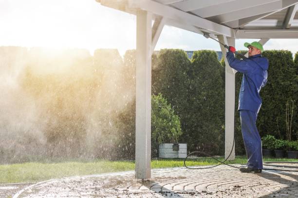 Best Roof Washing  in Princeton, WI